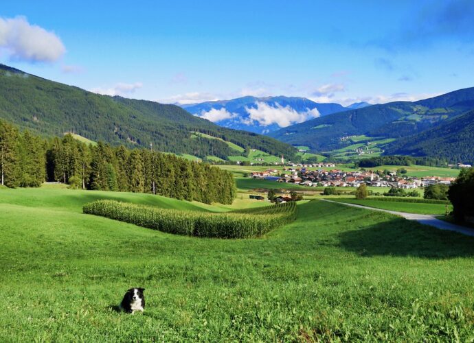 Urlaub mit Hund in Südtirol: Unvergessliche Zeit mit Ihrem vierbeinigen Freund