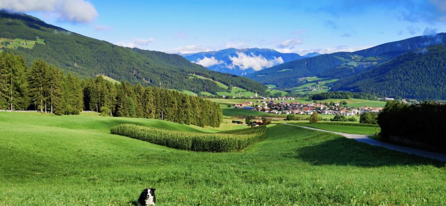 Urlaub mit Hund in Südtirol: Unvergessliche Zeit mit Ihrem vierbeinigen Freund